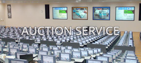 japanese auction service